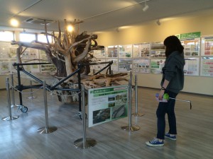 20150925_広報_8月わこうどつうしん_写真5