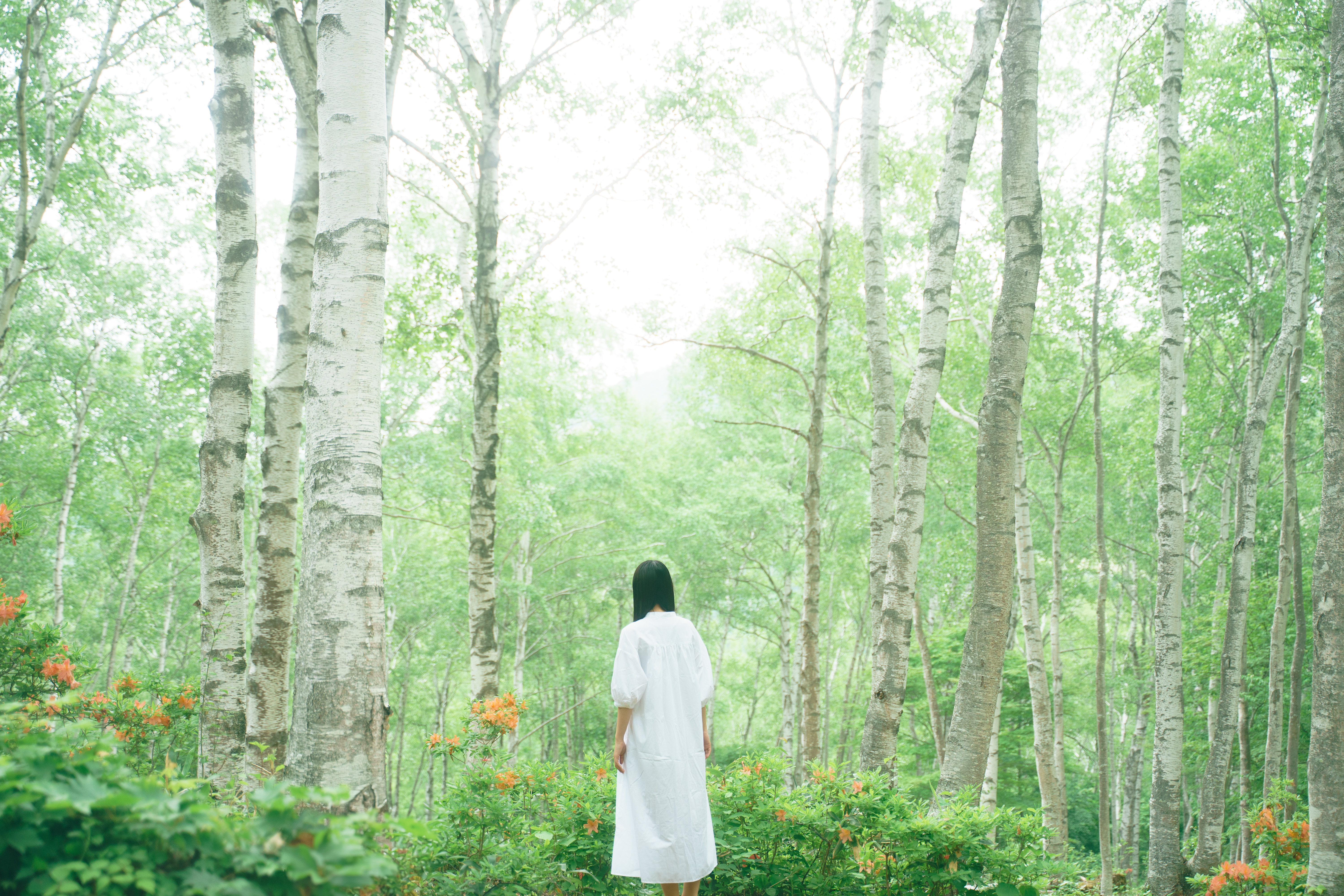 白い写真部の写真